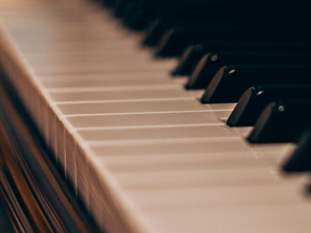 copia_site_pedro_burmester