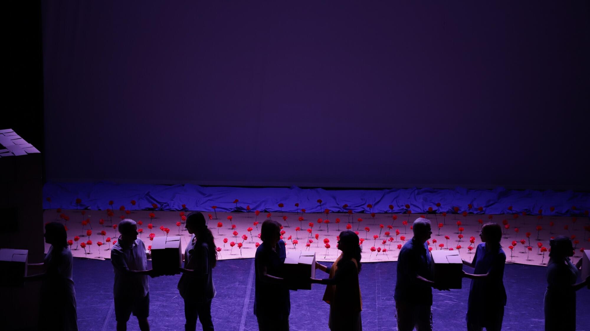 Apresentação do espetáculo "DES"