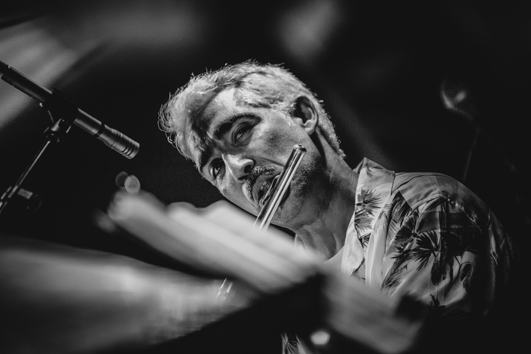 Abril no Teatro Municipal de Matosinhos Constantino Nery